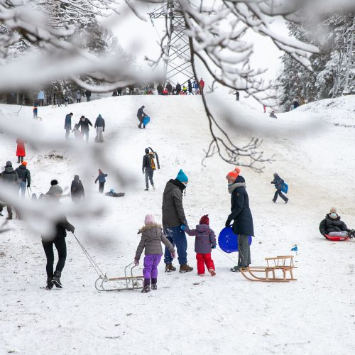 Su rogėmis ir čiuožynėmis kauniečiai šturmavo parkus ir miškus  © Justinos Lasauskaitės nuotr.