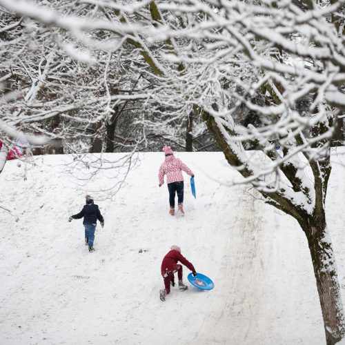 Su rogėmis ir čiuožynėmis kauniečiai šturmavo parkus ir miškus  © Justinos Lasauskaitės nuotr.