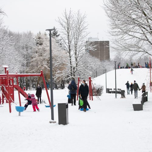 Su rogėmis ir čiuožynėmis kauniečiai šturmavo parkus ir miškus  © Justinos Lasauskaitės nuotr.