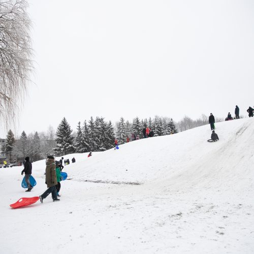 Su rogėmis ir čiuožynėmis kauniečiai šturmavo parkus ir miškus  © Justinos Lasauskaitės nuotr.