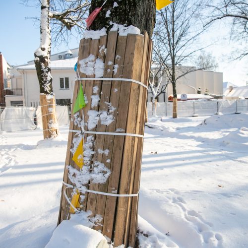 Besikeičianti Laisvės alėja  © Justinos Lasauskaitės nuotr.