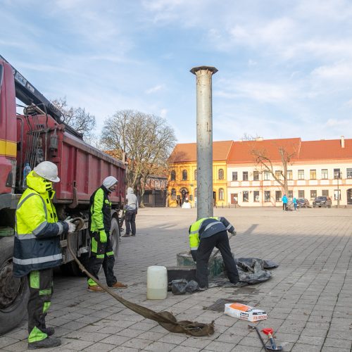 Kalėdinės eglutės įrengimas Rotušės aikštėje  © Justinos Lasauskaitės nuotr.