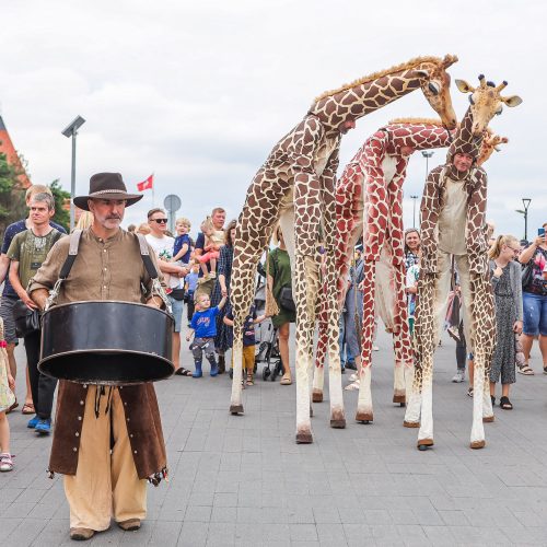 Kauniečius džiugina festivalio „ConTempo“ žirafos  © Justinos Lasauskaitės nuotr.