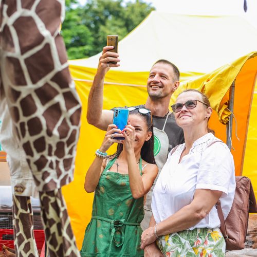 Kauniečius džiugina festivalio „ConTempo“ žirafos  © Justinos Lasauskaitės nuotr.