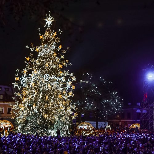 Žingsnis link Kalėdų: įžiebta žvaigždėmis puošta Kauno eglutė!   © Regimanto Zakšensko, Justinos Lasauskaitės, Kauno miesto savivaldybės nuotr.