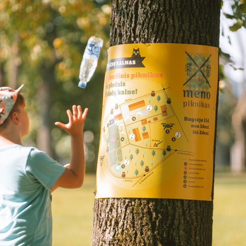 Pelėdų kalne siekia Lietuvos meno pikniko rekordo  © Justinos Lasauskaitės nuotr.