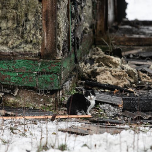  Spaudos konferencija dėl žūčių gaisruose Nemenčinėje  © P. Peleckio / „BNS Foto“ nuotr.