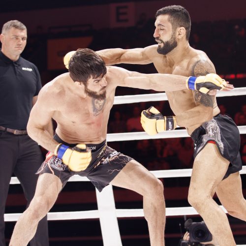 Žiūrovų kraują kaitino „Blade fights“ turnyras   © Vytauto Liaudanskio,  E. Paulausko nuotr.