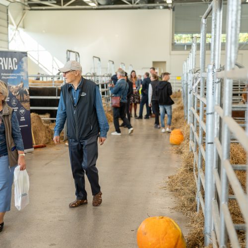 Gyvulininkystės paroda VDU Žemės ūkio akademijoje  © Regimanto Zakšensko nuotr.