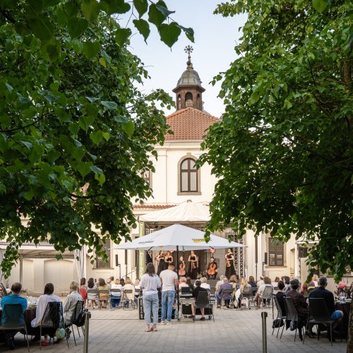 Pažaislio liepų alėjos koncertas   © Regimanto Zakšensko nuotr.