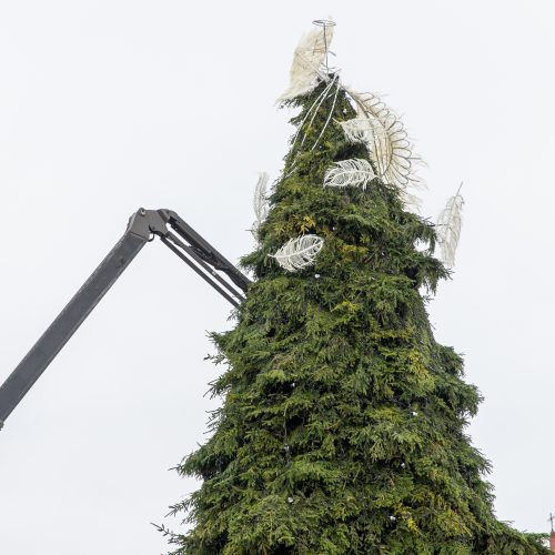 Pasirengimas Kalėdoms Rotušės aikštėje įgauna pagreitį  © Regimanto Zakšensko nuotr.