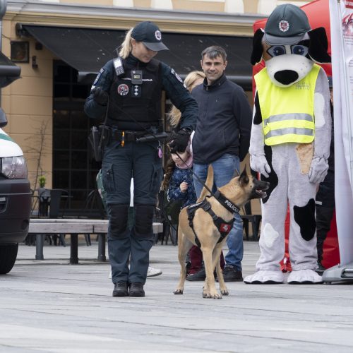 Saugaus eismo diena Kaune  © Simono Baltušio nuotr.