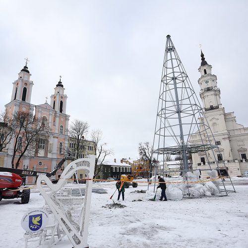 Nupuošiama Kauno eglė  © Aliaus Koroliovo nuotr.