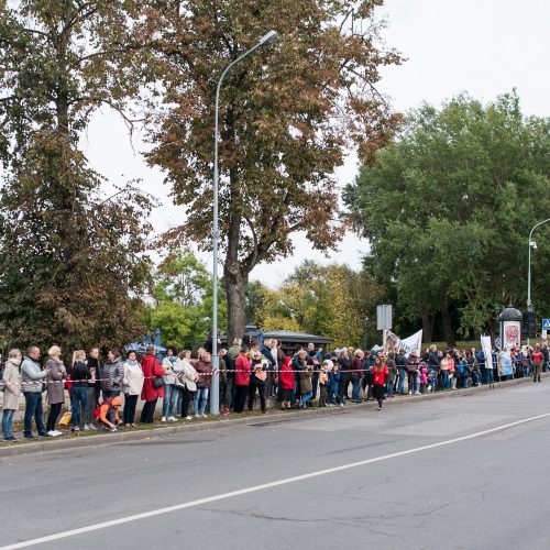 Popiežiaus kelionė iki Katedros aikštės  © P. Peleckio / Fotobanko nuotr.