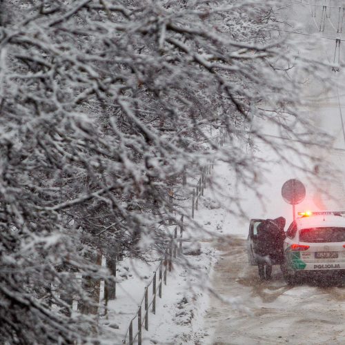 Vilnių užklojo sniegas  © Irmanto Gelūno / Fotobanko, Mariaus Morkevičiaus / ELTOS nuotr.