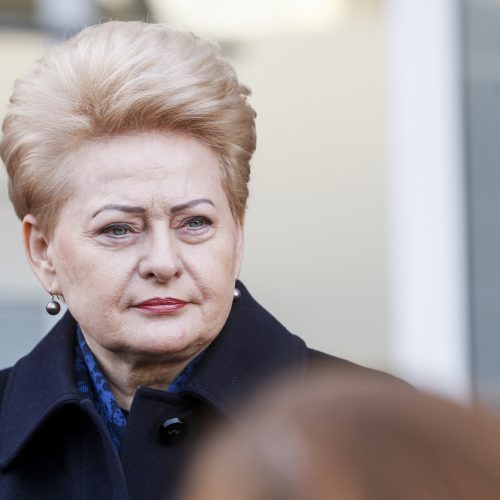 Iš anksto balsavo D. Grybauskaitė  © M. Morkevičiaus / ELTOS, P. Peleckio / Fotobanko nuotr.