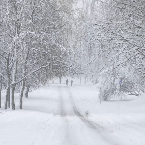 Gausus sniegas užklojo Vilnių  © P. Peleckio, G. Skaraitienės / Fotobanko nuotr.