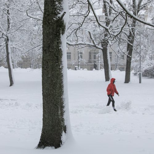 Gausus sniegas užklojo Vilnių  © P. Peleckio, G. Skaraitienės / Fotobanko nuotr.