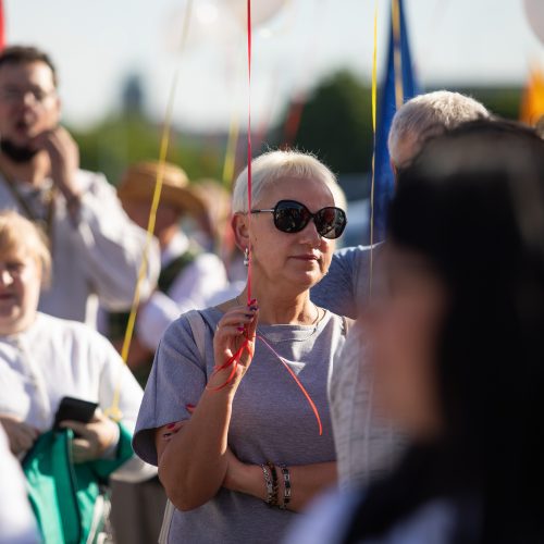 Šeimų maršo protestas prie Seimo  © I. Gelūno / Fotobanko nuotr.