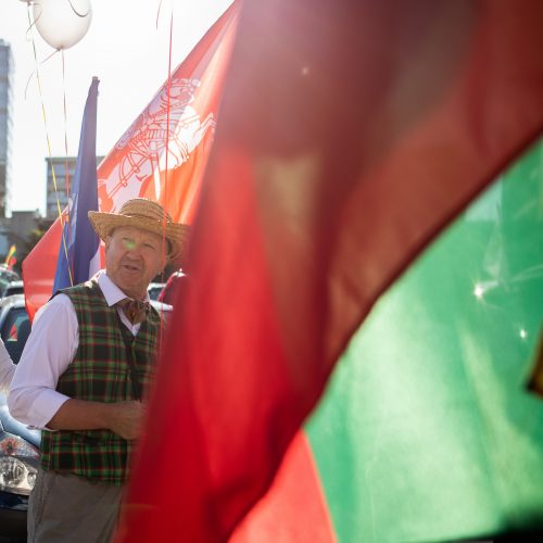 Šeimų maršo protestas prie Seimo  © I. Gelūno / Fotobanko nuotr.