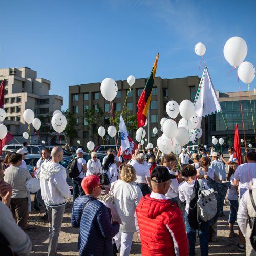 Šeimų maršo protestas prie Seimo  © I. Gelūno / Fotobanko nuotr.