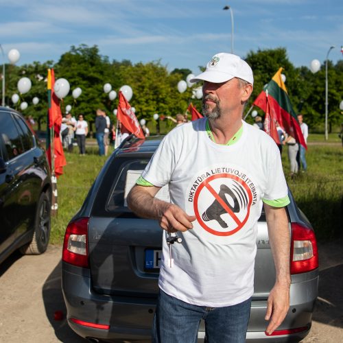 Šeimų maršo protestas prie Seimo  © I. Gelūno / Fotobanko nuotr.