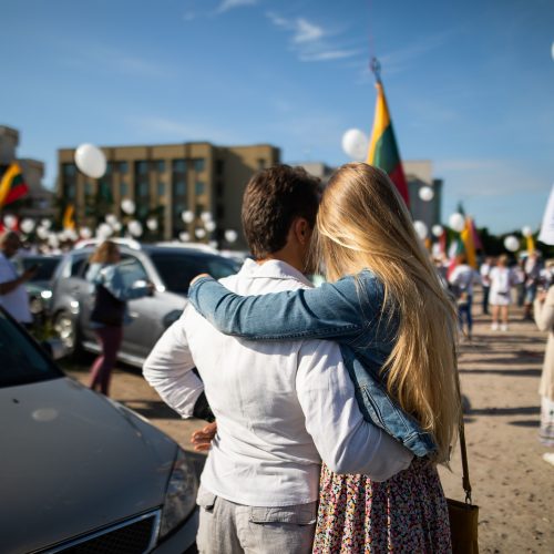 Šeimų maršo protestas prie Seimo  © I. Gelūno / Fotobanko nuotr.