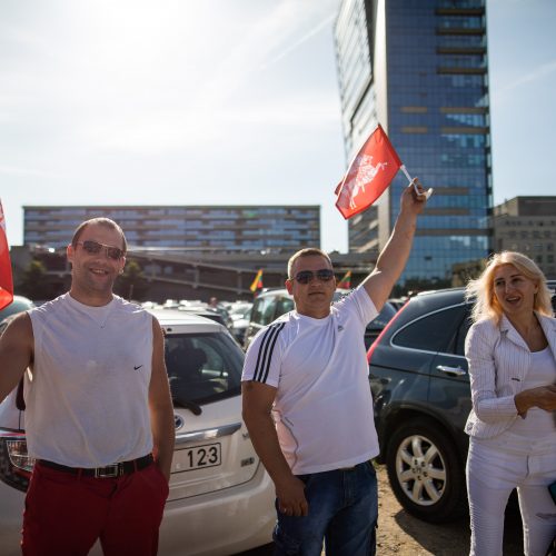 Šeimų maršo protestas prie Seimo  © I. Gelūno / Fotobanko nuotr.