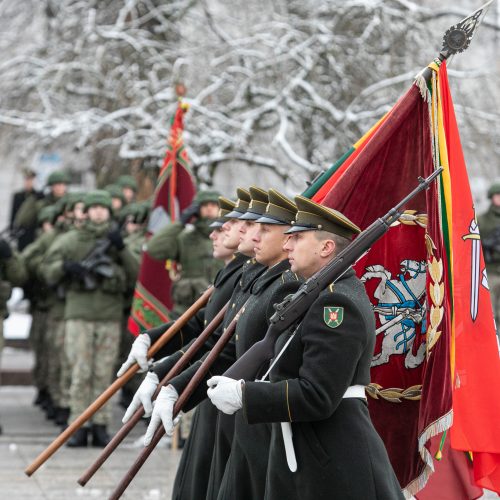 Iškilminga rikiuotė Kariuomenės dienos proga  © P. Peleckio / Fotobanko nuotr.