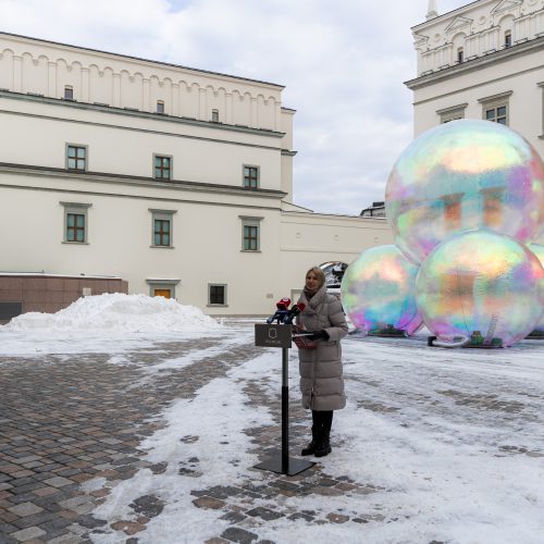 Vilniaus miesto 699-ojo gimtadienio pristatymas  © G. Skaraitienės / BNS nuotr.