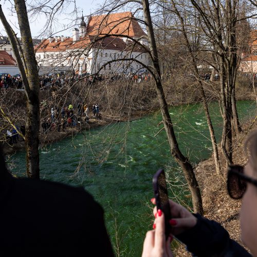 Vilniuje švenčiama Šv. Patriko diena  © P. Peleckio / BNS nuotr.