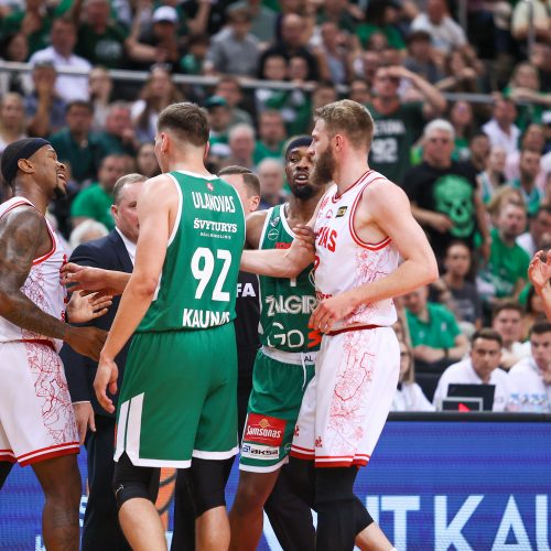 LKL finalo rungtynės: Kauno „Žalgiris“ – Vilniaus „Rytas“  © E. Ovčarenko / BNS nuotr.