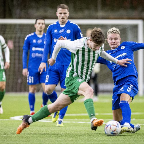 Vilniaus „Žalgiris“ – Kauno rajono „Hegelmann“  © I. Gelūno / BNS nuotr.