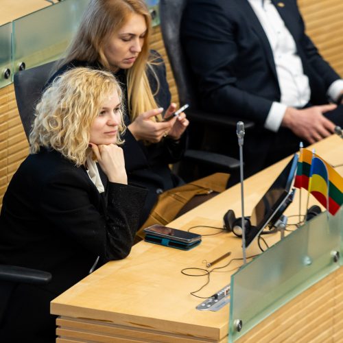 Seimas svarstė klausimą dėl A. Stončaičio atleidimo  © Ž. Gedvilos / BNS nuotr.