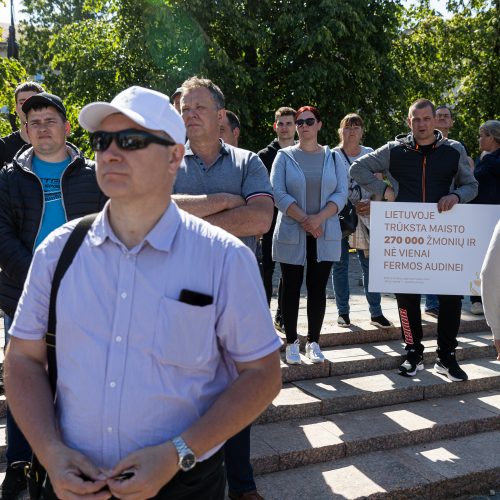 Ūkininkų protestas prie Seimo  © P. Peleckio / BNS nuotr.