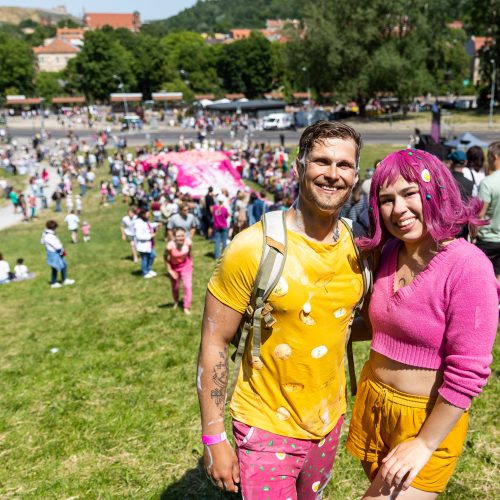 Šaltibarščių festivalis Vilniuje  © Ž. Gedvilos / BNS nuotr.