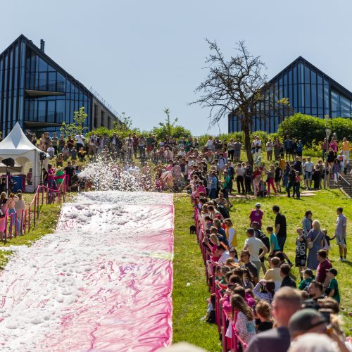 Šaltibarščių festivalis Vilniuje  © Ž. Gedvilos / BNS nuotr.