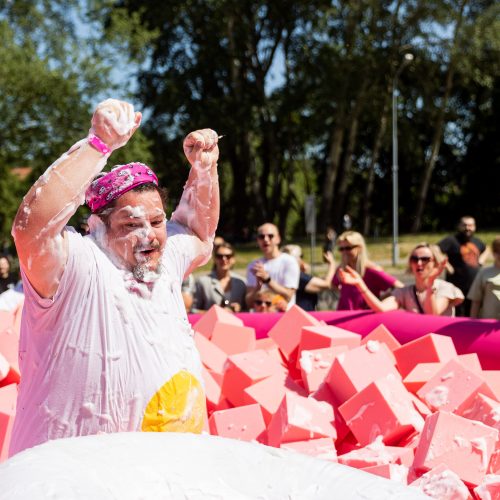 Šaltibarščių festivalis Vilniuje  © Ž. Gedvilos / BNS nuotr.