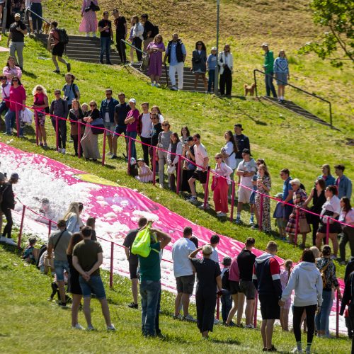 Šaltibarščių festivalis Vilniuje  © Ž. Gedvilos / BNS nuotr.