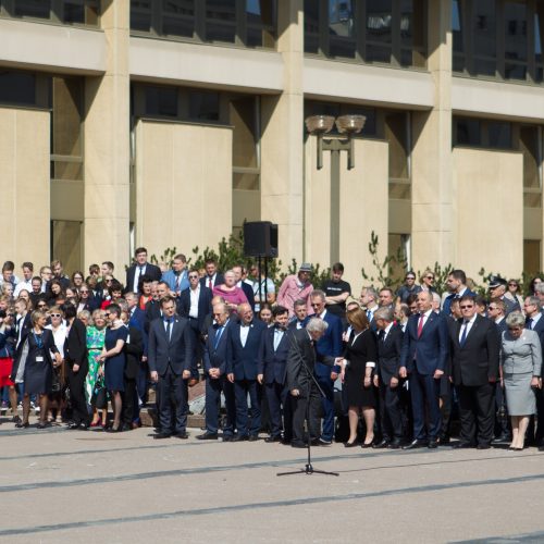 Iškilminga vėliavų pakėlimo ceremonija  © V. Skaraičio / BFL nuotr.