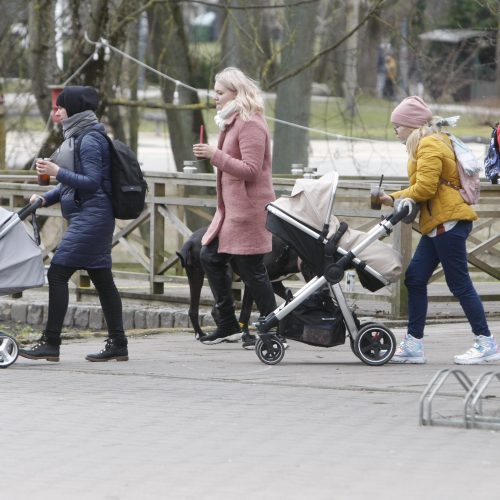 Palanga sulaukė poilsiautojų  © V. Liaudanskio nuotr.