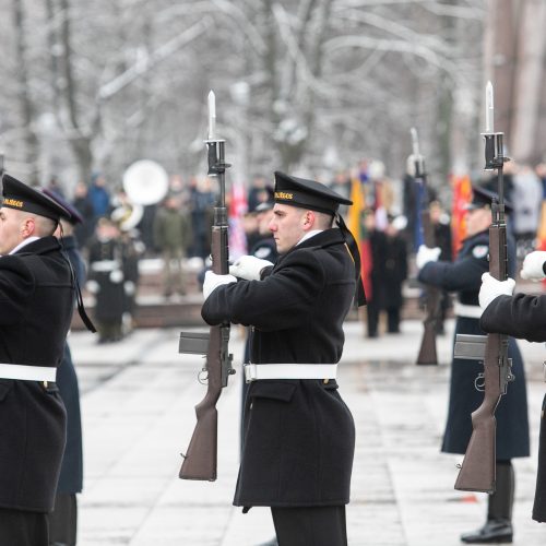 Iškilminga rikiuotė Kariuomenės dienos proga  © P. Peleckio / Fotobanko nuotr.