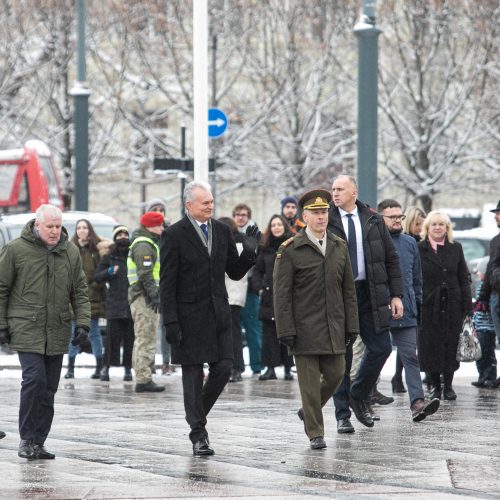 Iškilminga rikiuotė Kariuomenės dienos proga  © P. Peleckio / Fotobanko nuotr.