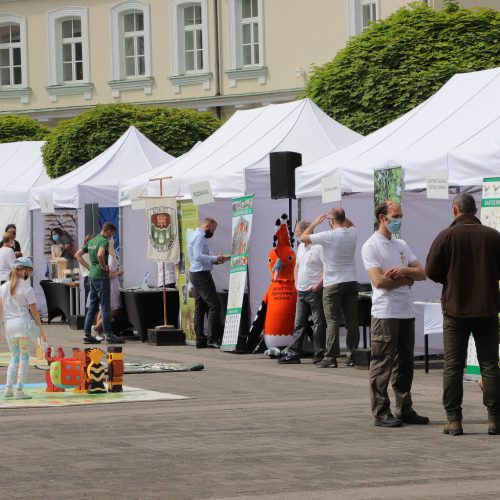 Žaliųjų idėjų festivalis Prezidentūroje  © D. Labučio / ELTOS, R. Dačkaus / Prezidentūros nuotr.