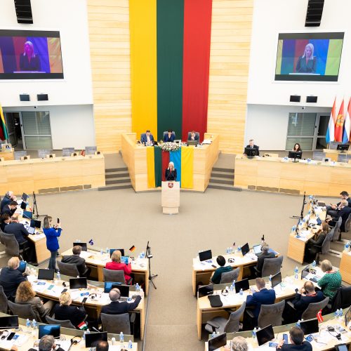 NATO valstybių narių parlamentų pirmininkų aukšto lygio susitikimas Vilniuje  © P. Peleckio / BNS nuotr.