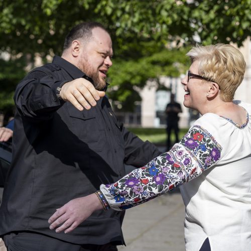 I. Šimonytė susitiko su Ukrainos Aukščiausiosios Rados Pirmininku R. Stefančiuku