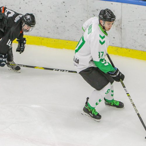 LLRČ: „Baltų ainiai“ – „Kaunas Hockey“ 6:10  © Evaldo Šemioto nuotr.