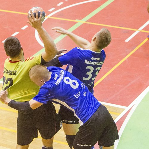 EHF Iššūkio taurė: „Šviesa“ – „Granitas“ 33:26  © Evaldo Šemioto nuotr.