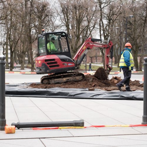 Naujai susodintos liepos Laisvės alėjoje  © Edgaro Cickevičiaus nuotr.