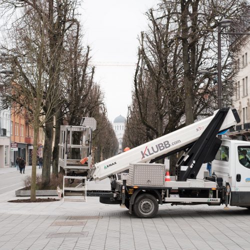 Naujai susodintos liepos Laisvės alėjoje  © Edgaro Cickevičiaus nuotr.